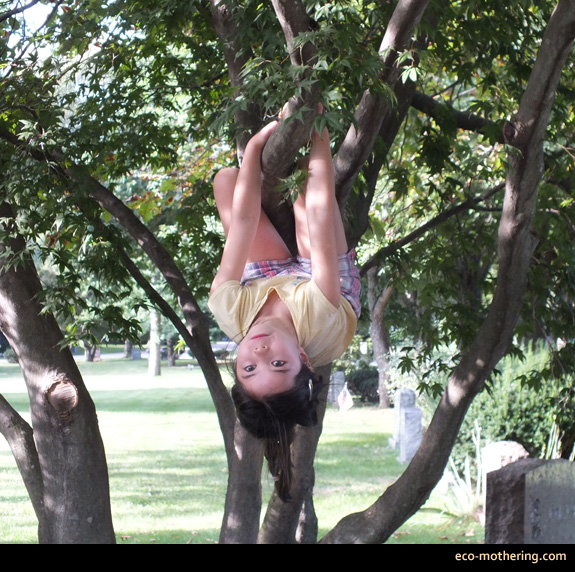 sofie-in-tree