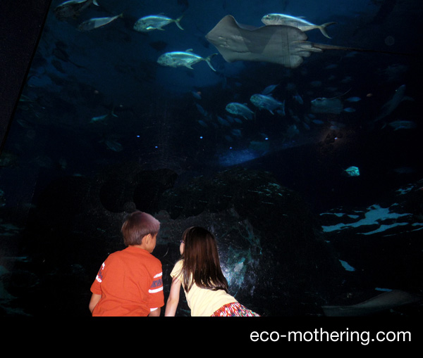 Sofie and Kai at Adventure Aquarium in Camden
