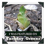 Crafty Garden Mama