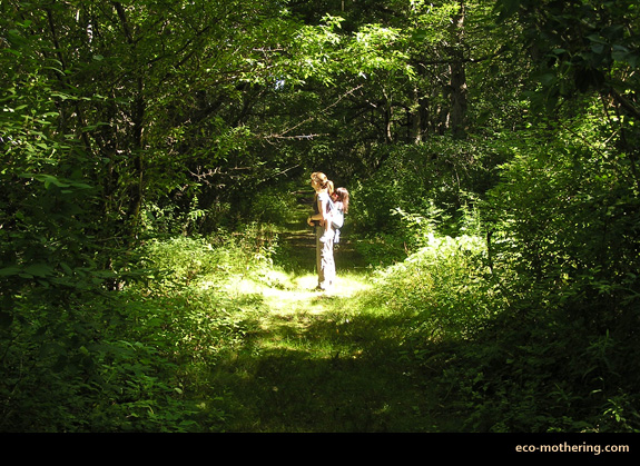 old-growth-forest-rhode-island