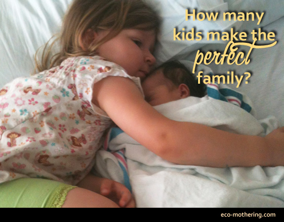 how-many-kids-perfect-family