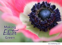spring-flower-by-lmkemper