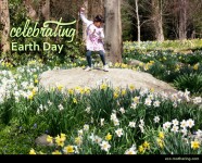 Celebrating Earth Day | Eco-Mothering.com