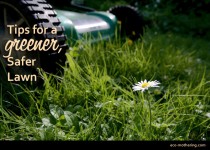 Tips for a Safe and Eco-Friendly Lawn | Eco-Mothering.com
