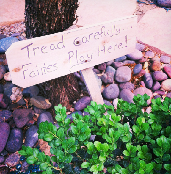 fairy-garden-2