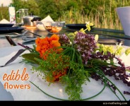 Edible Flowers | Eco-Mothering.com
