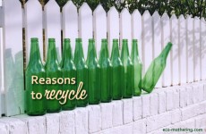 Reasons to Recycle | Eco-Mothering.com