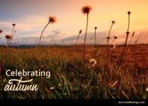 Celebrating the Fall Equinox | Eco-Mothering.com