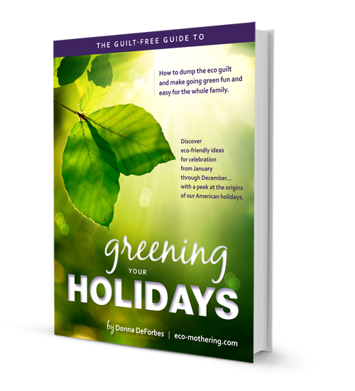 3D-eBook-cover-alt-500px