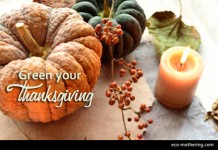 5 Ways to Green Your Thanksgiving | Eco-Mothering.com