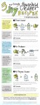 infographic-DIY-eco-cleaners