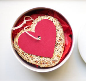 eco-craft-valentine-bird-heart