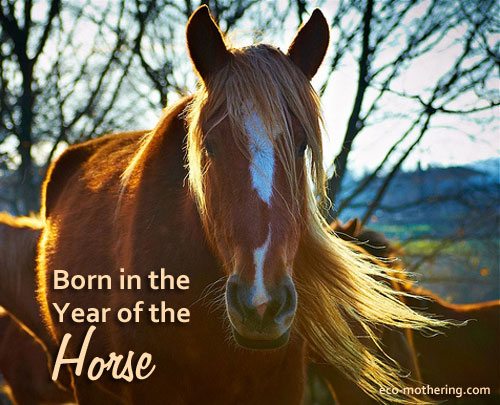 year-of-the-horse-moyan-brenn