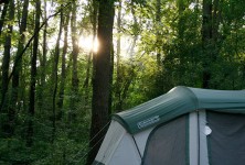 camping-in-trees