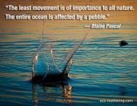 meme-pascal-ocean-pebble
