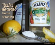 Natural Household Cleaners | Eco-Mothering.com