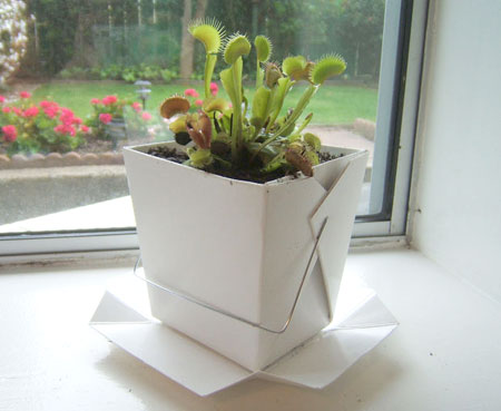 seed-pot-chinese-takeout