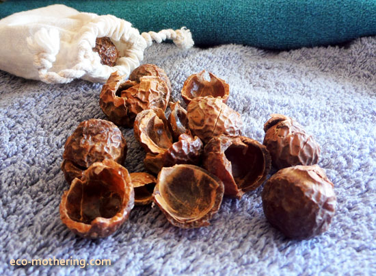 soap-nuts-closeup