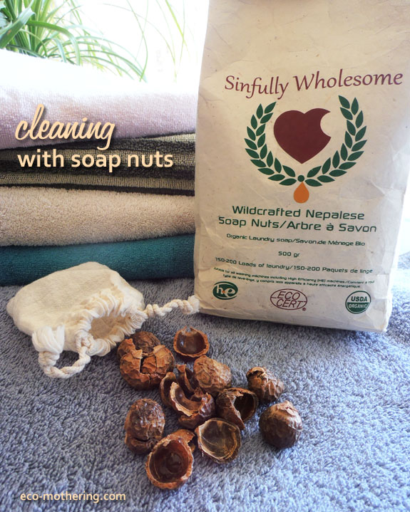 soap-nuts