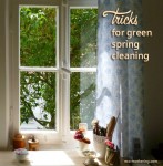 window-spring-cleaning