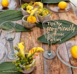 Tips for Eco Entertaining | Eco-Mothering.com