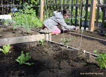 garden-bed-2