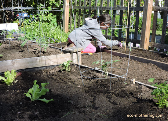 garden-bed-2
