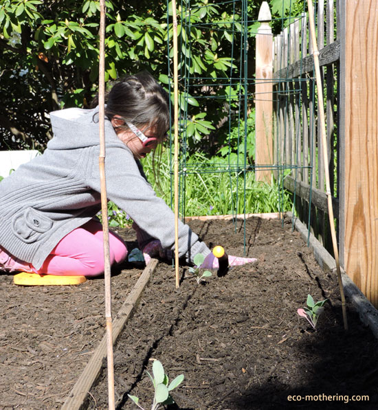 garden-bed-3