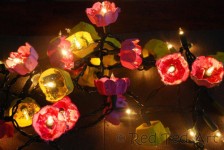 craft-egg-carton-fairy-lights