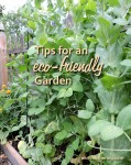 Eco-friendly Garden Tips | Eco-Mothering.com