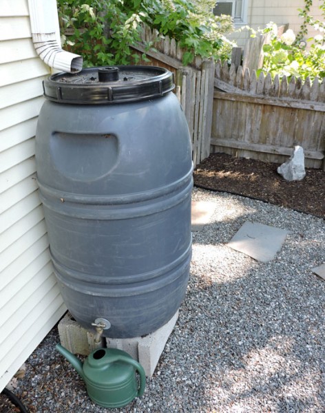 rain-barrel