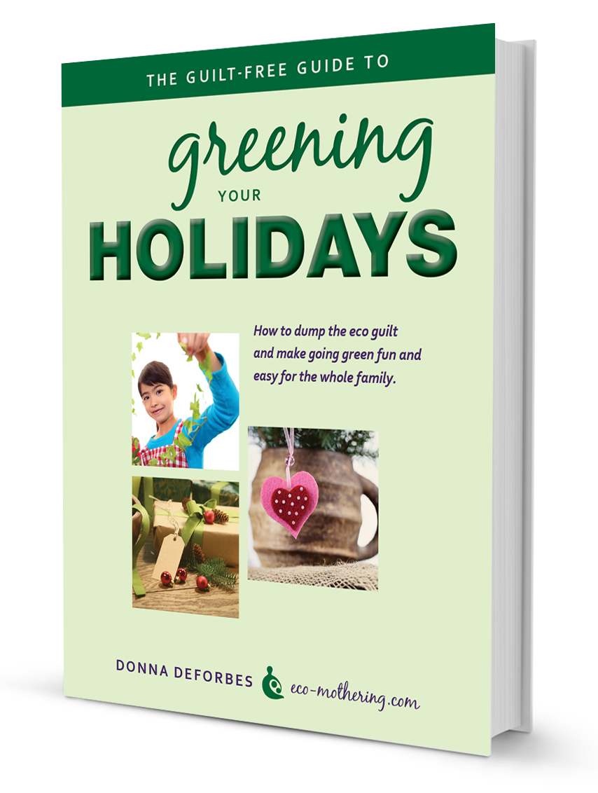 3D-eBook-cover-no-spine-with-reg-price
