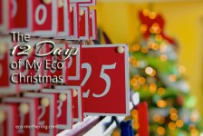 from Eco-Mothering.com