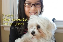 5 Ways Dog Owners Can Go Green | Eco-Mothering.com