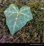 eco-mothering-heart-leaf