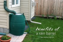 Benefits of Rain Barrels | Eco-Mothering.com