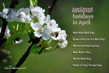 unique-holidays-april