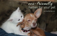 Eco-Friendly Names for your Pet | Eco-Mothering.com