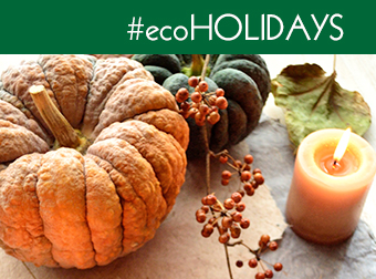 #ecoHolidays