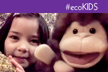 #ecoKids